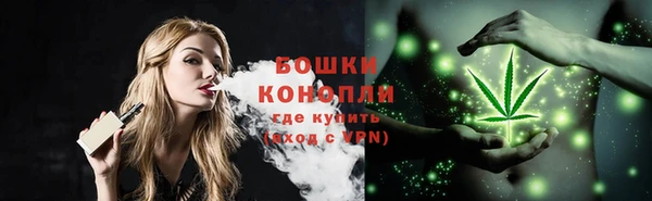 мет Ладушкин