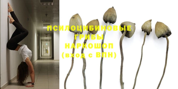 мет Ладушкин