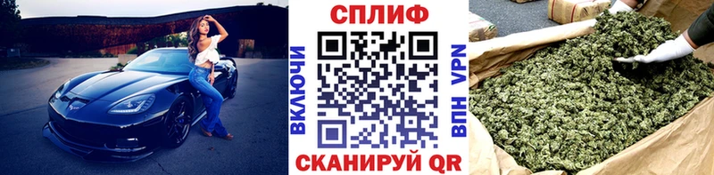 Купить  Протвино  Бошки Шишки тримм 